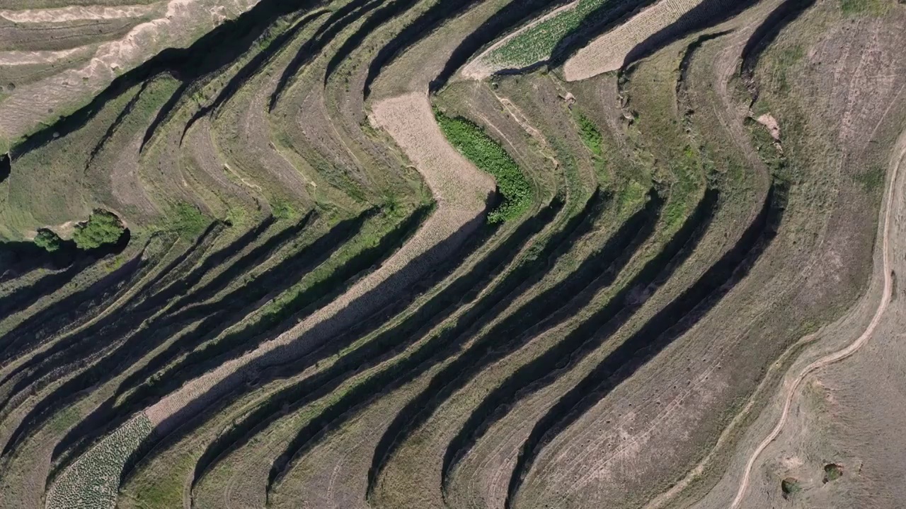 临夏梯田视频素材