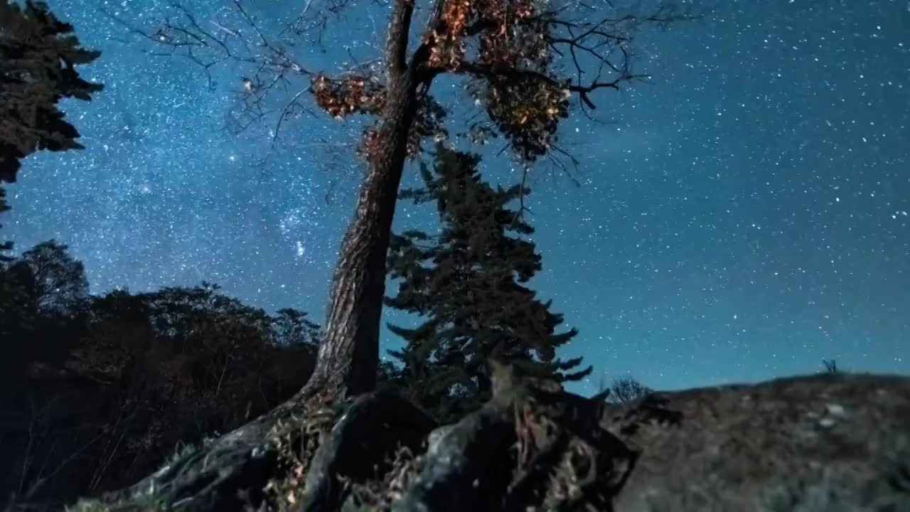 4K，星空，银河，滑轨，树，秋季，东北，宁静，山，延时摄影视频素材