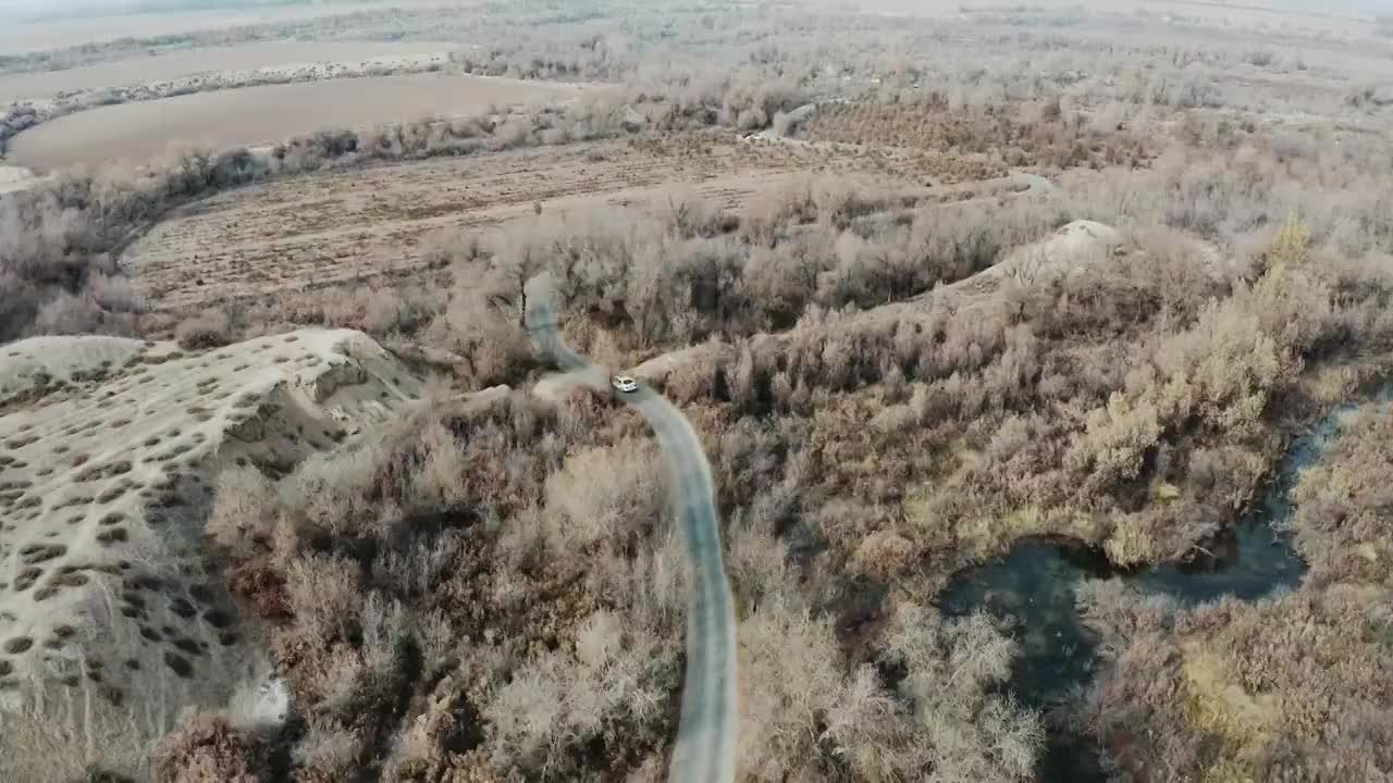 新疆胡杨林景观视频下载