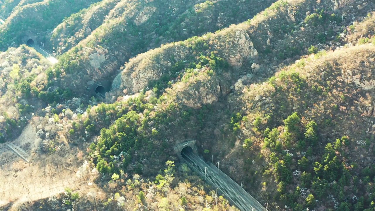 大秦铁路火车过花海视频素材