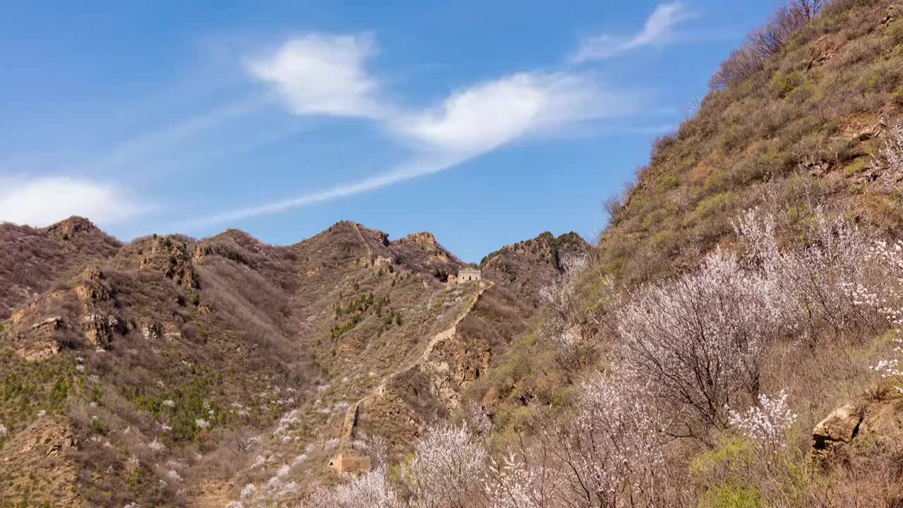 北京墙子路长城春天花海蓝天白云延时摄影视频素材