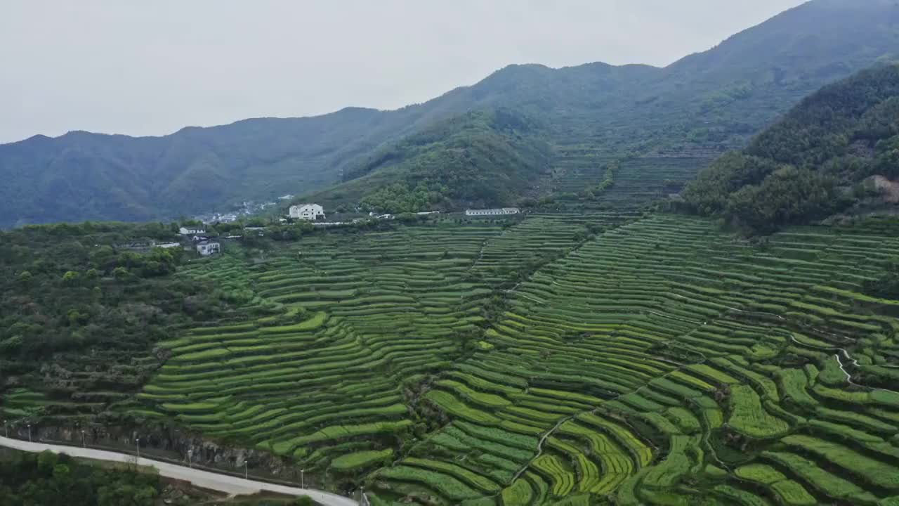 上虞覆卮山梯田航拍视频素材