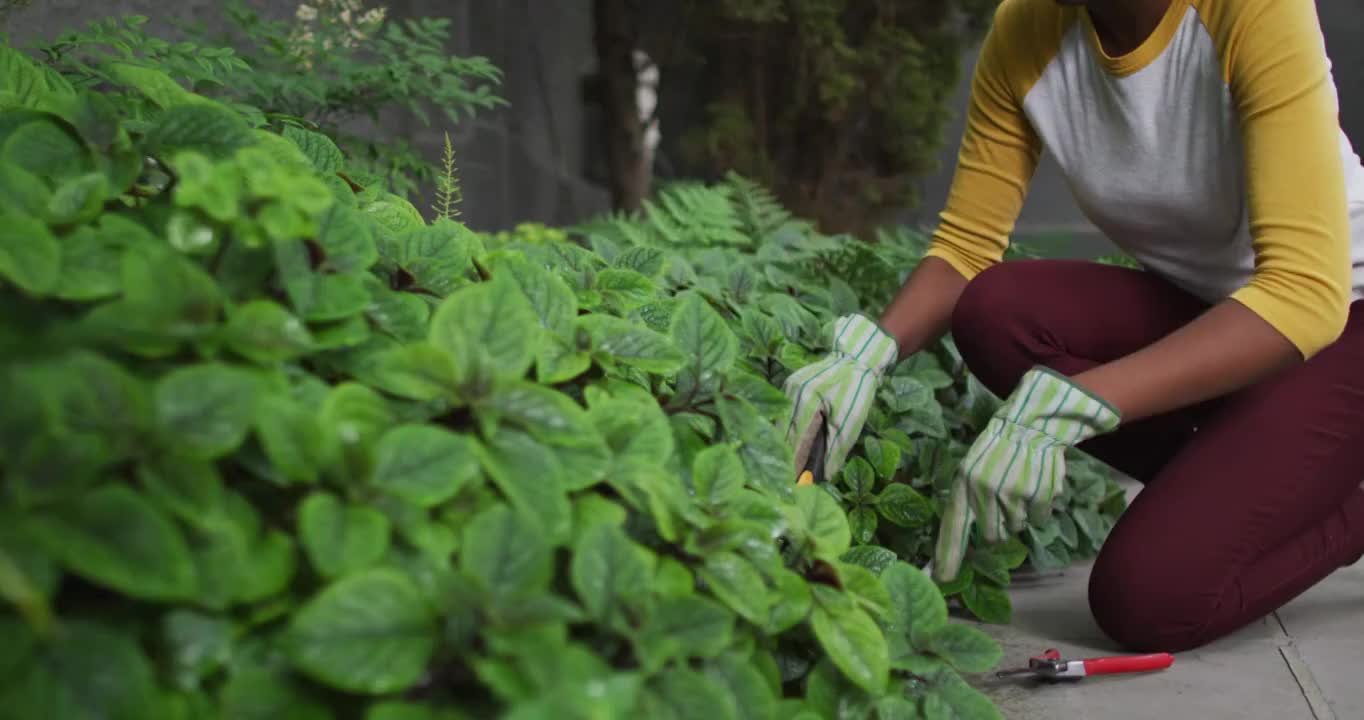 戴园艺手套的非裔美国妇女在花园里园艺视频素材