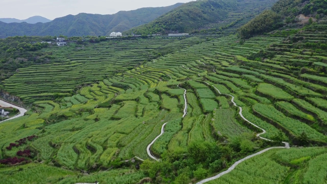 上虞覆卮山的梯田航拍视频素材