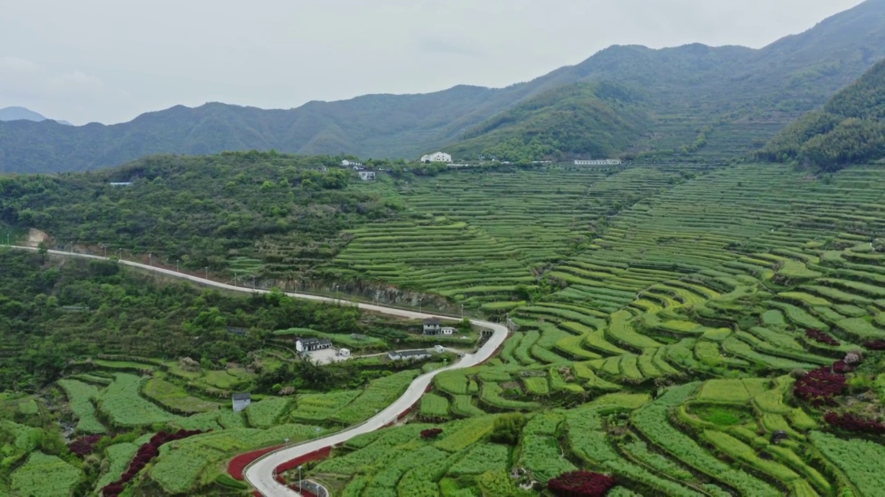 上虞覆卮山梯田航拍视频素材