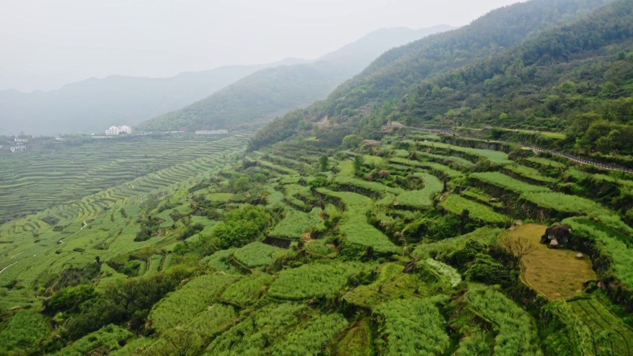 清晨薄雾中的覆卮山梯田航拍视频素材