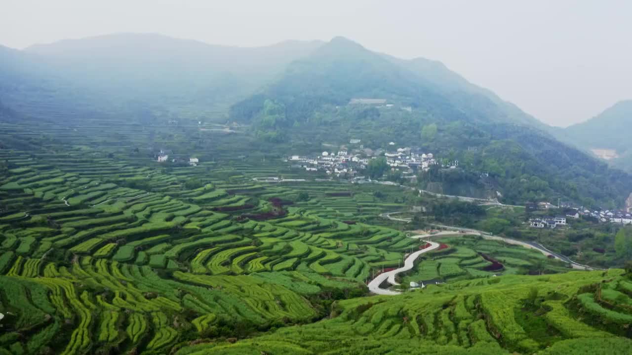 早晨薄雾中的覆卮山梯田航拍视频素材