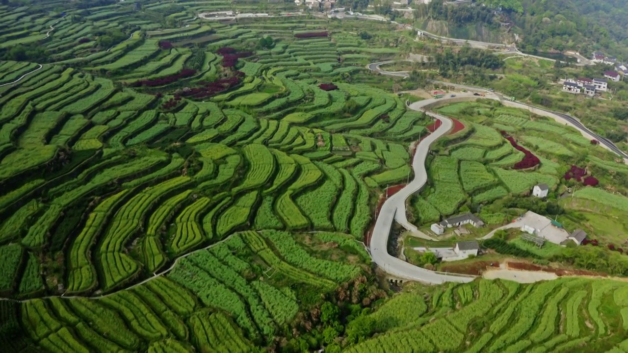 覆卮山的梯田航拍视频素材