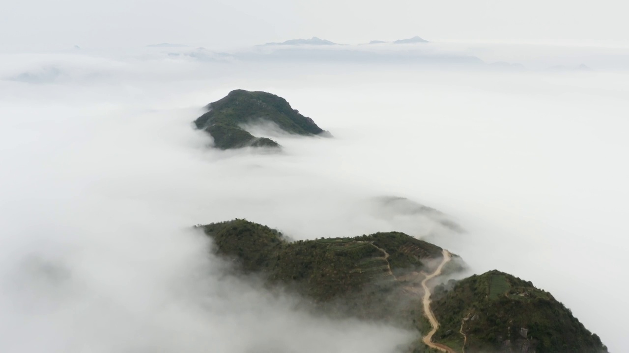 云雾环绕的茶山视频素材