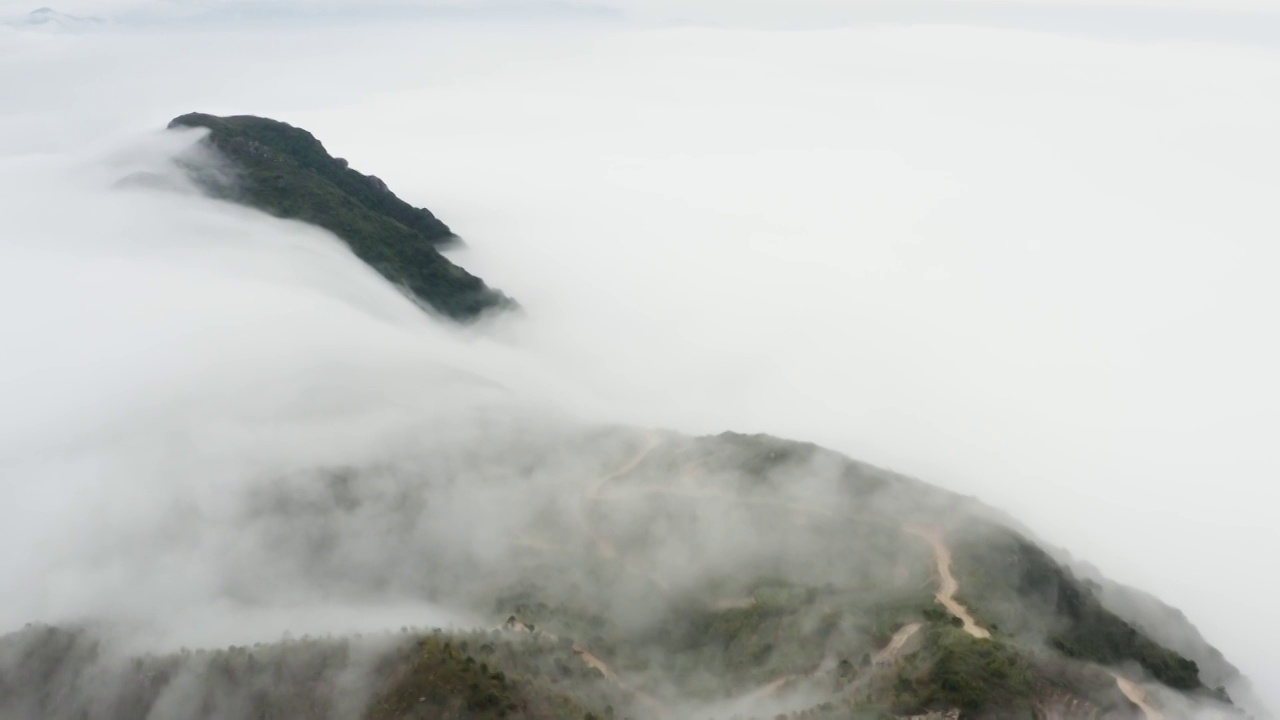 云雾环绕的茶山视频素材