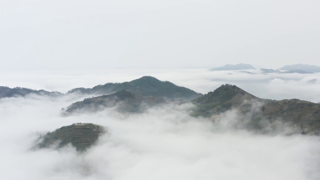 云雾环绕的茶山视频素材