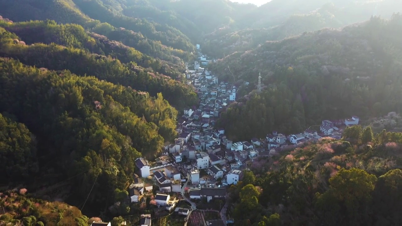 歙县卖花渔村春季梅花盛开4K航拍视频素材