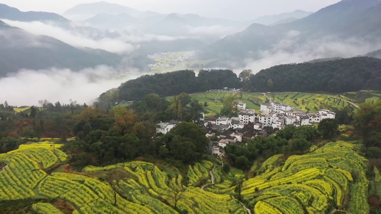 婺源江岭景区油菜花海云海风光视频素材