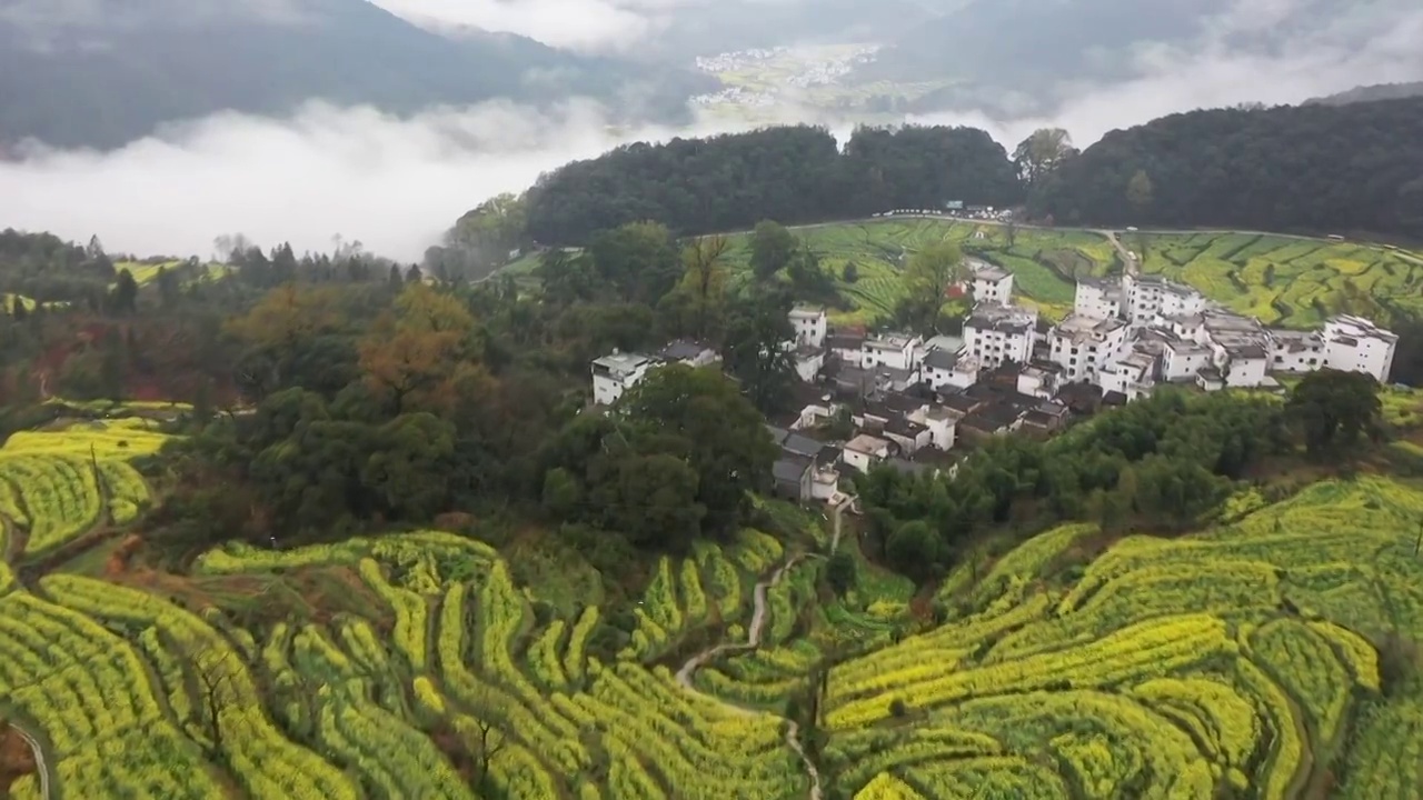 婺源江岭景区油菜花海云海风光视频素材