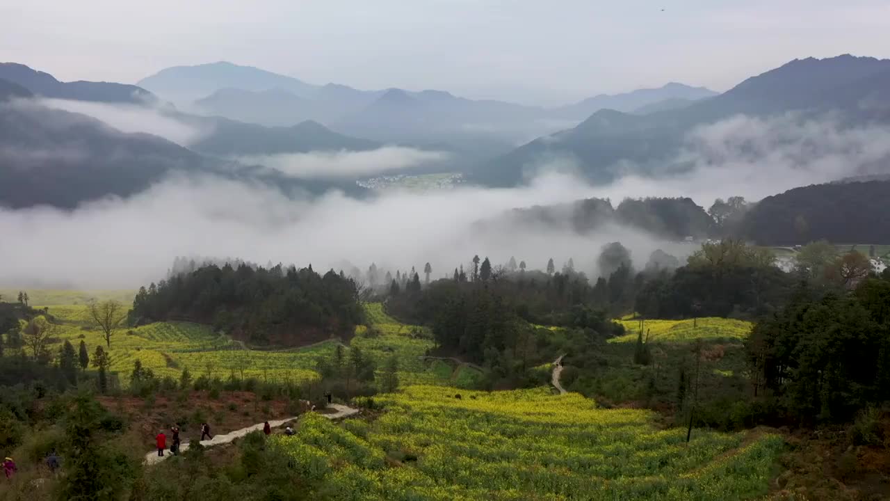 婺源江岭景区油菜花海云海风光视频素材