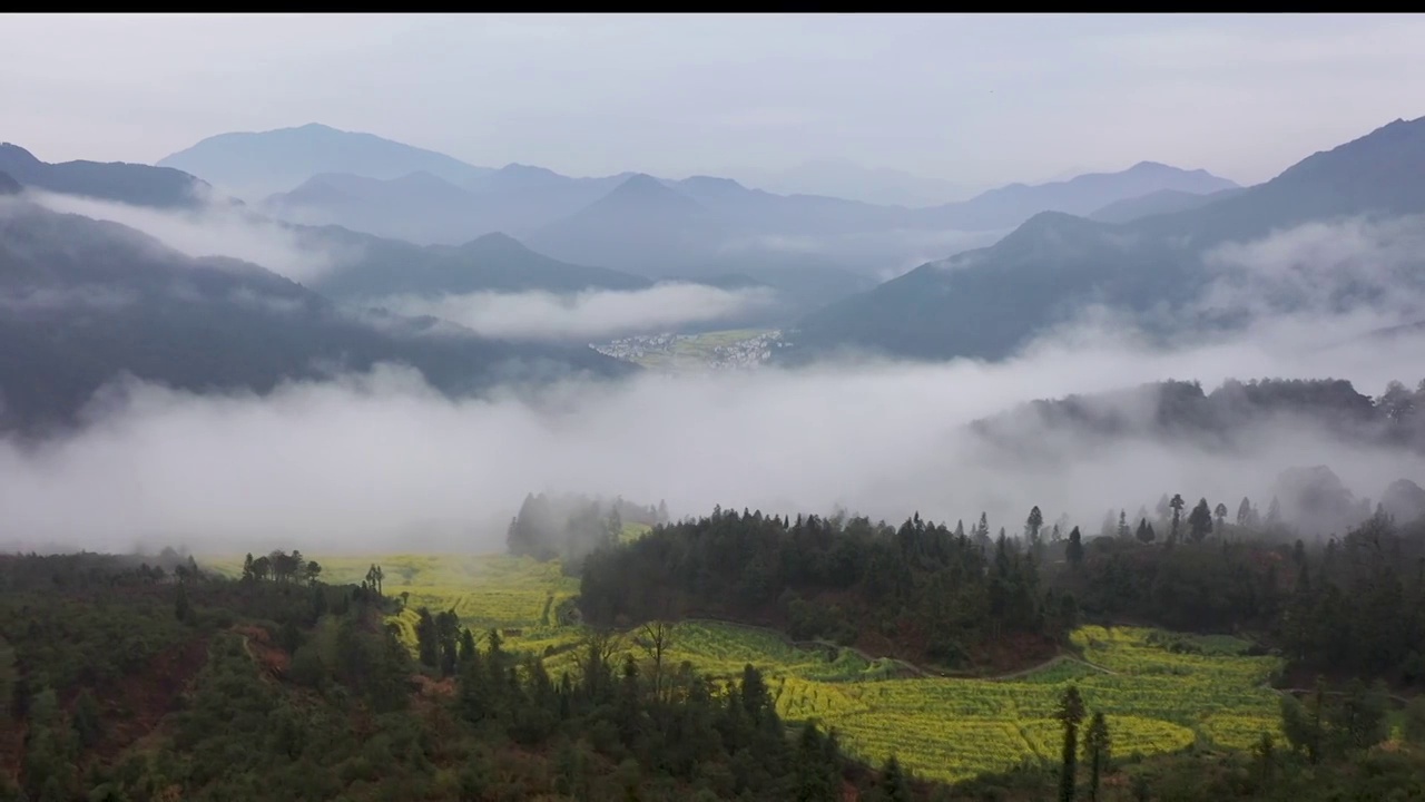 婺源江岭景区油菜花海云海风光视频素材