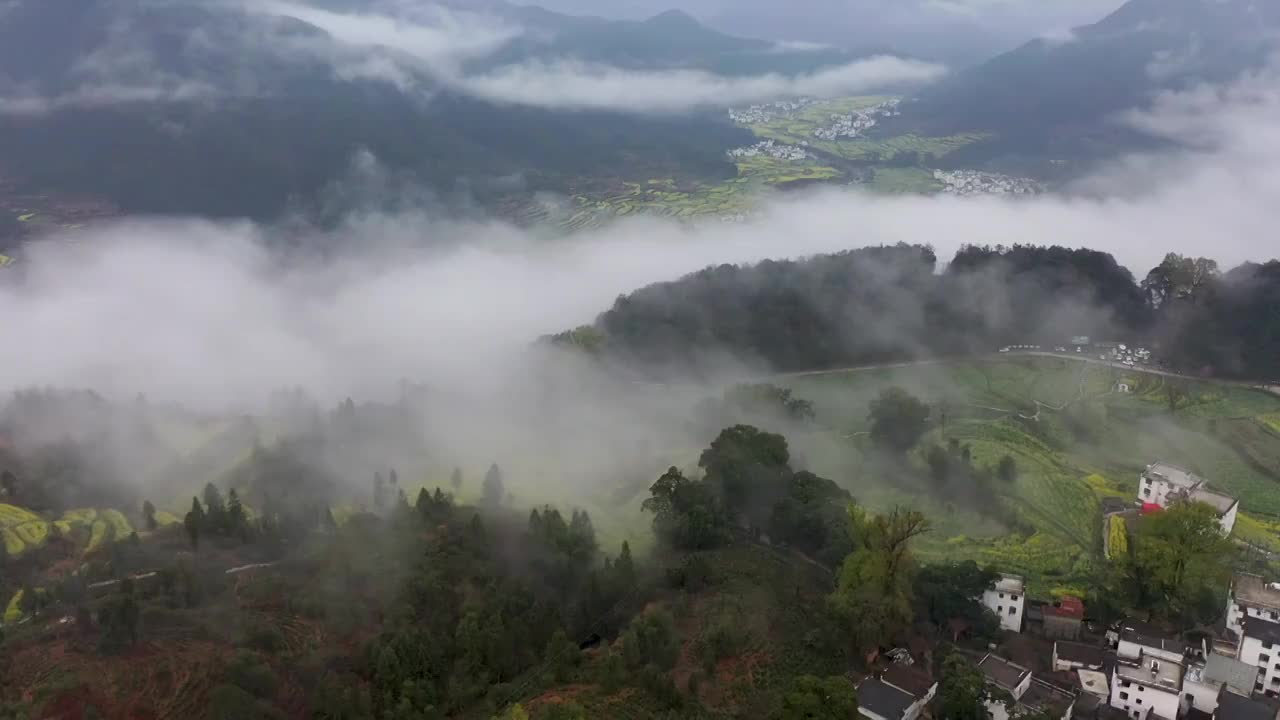 婺源江岭景区油菜花海云海风光视频素材