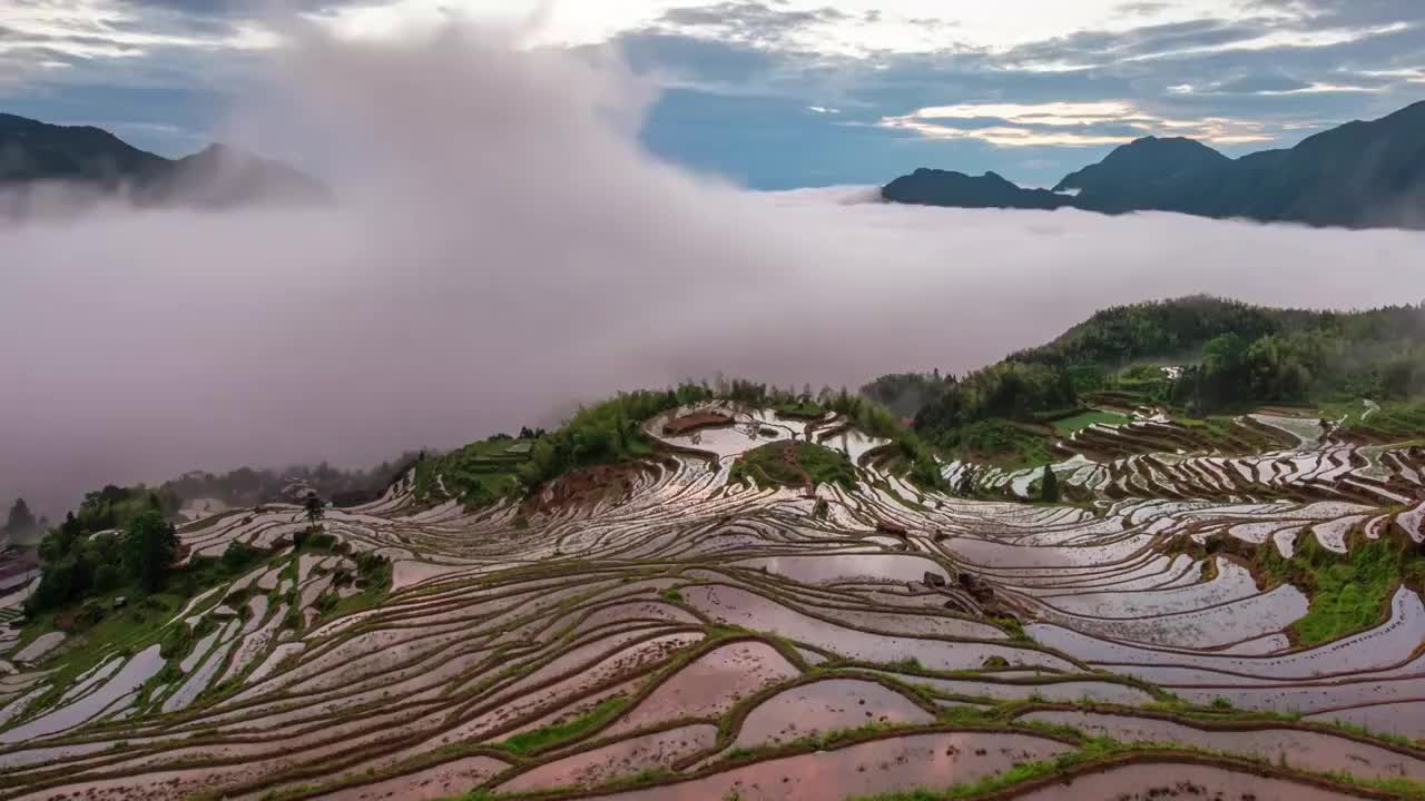 春天的云和梯田日出云海视频素材