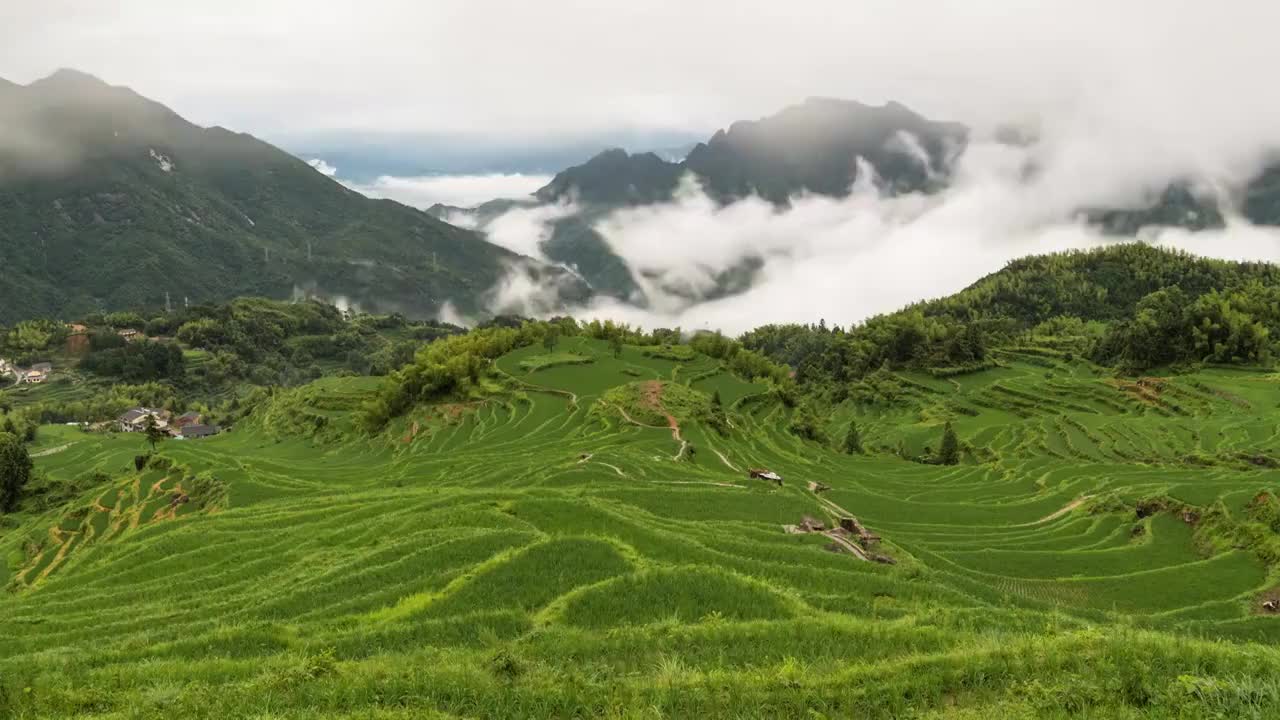 延时摄影拍摄的云和梯田夏天郁郁葱葱稻田和云雾翻腾视频素材