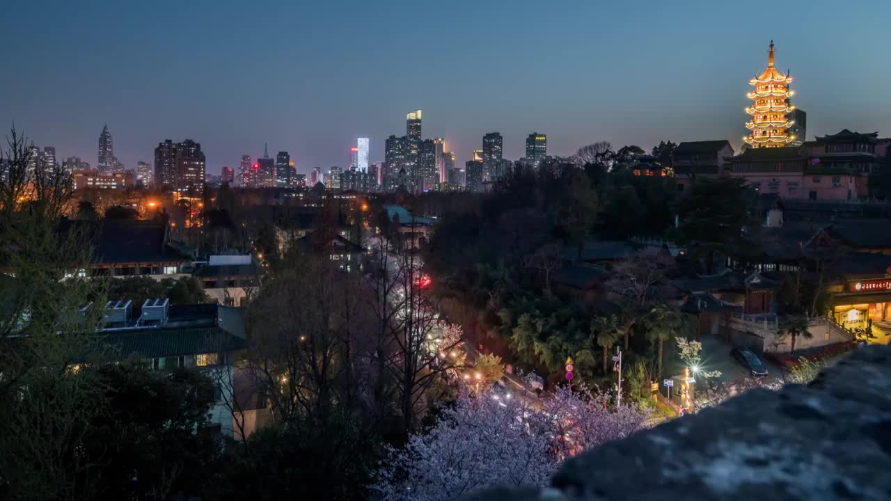 夜晚的南京鸡鸣寺樱花大道与城市夜景视频素材