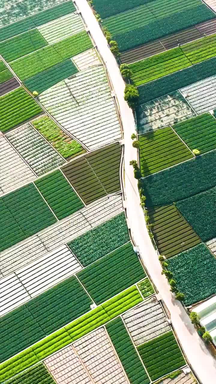 航拍云南大理的田野视频素材