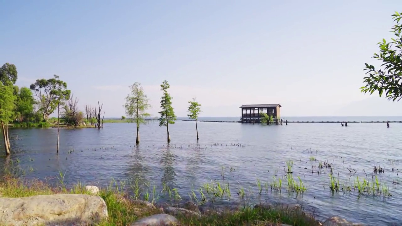 大理洱海沿岸湿地公园视频素材