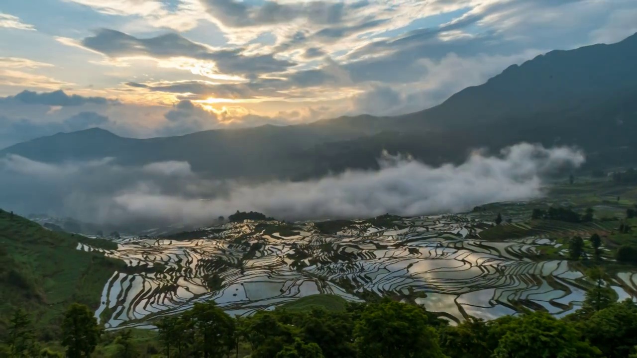 云南红酒：五月插秧期的元阳哈尼族梯田延时视频视频素材