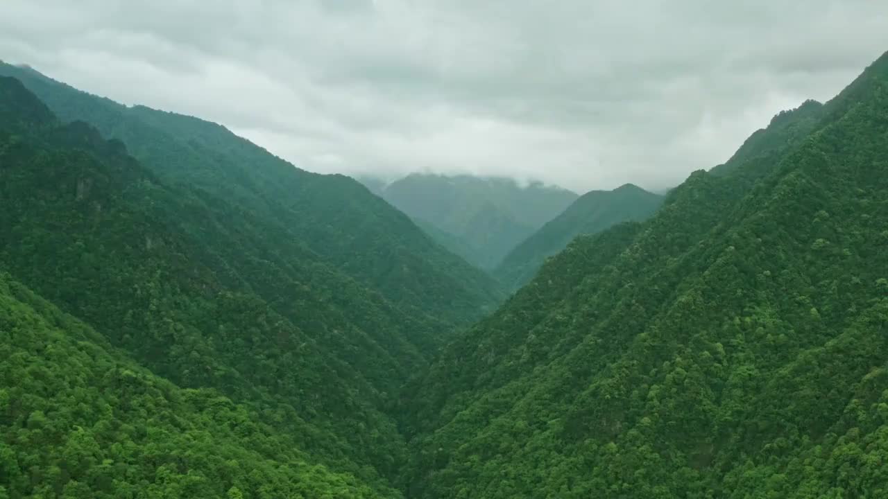 贵州铜仁梵净山绿色植被覆盖 4K航拍视频视频素材