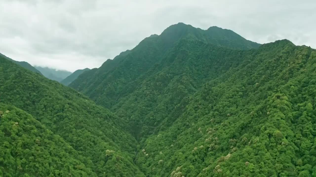 贵州铜仁梵净山绿色植被覆盖 4K航拍视频视频素材