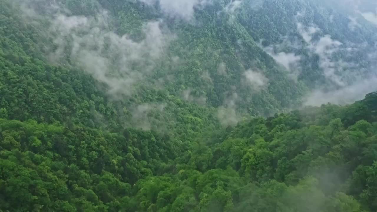 贵州梵净山区雨后云雾 4K航拍视频视频素材