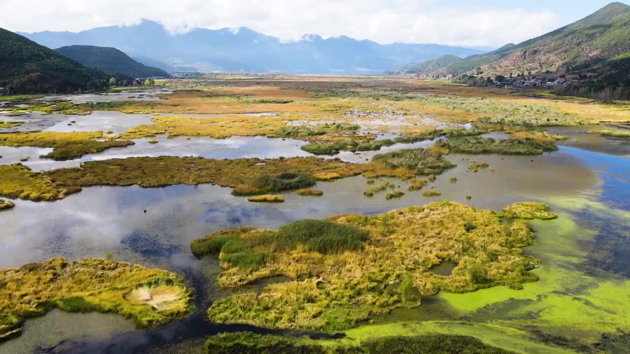 航拍秋天四川云南泸沽湖草海秋色视频素材