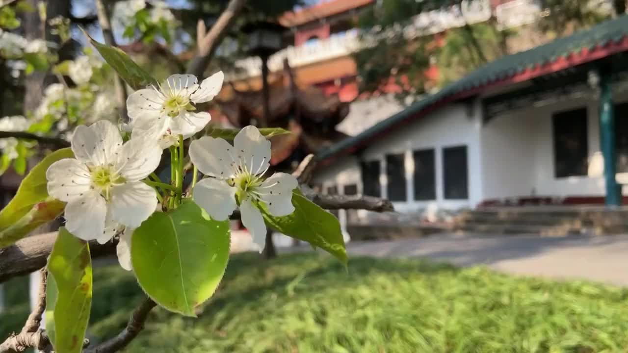 四川绵阳城市风景素材视频视频素材