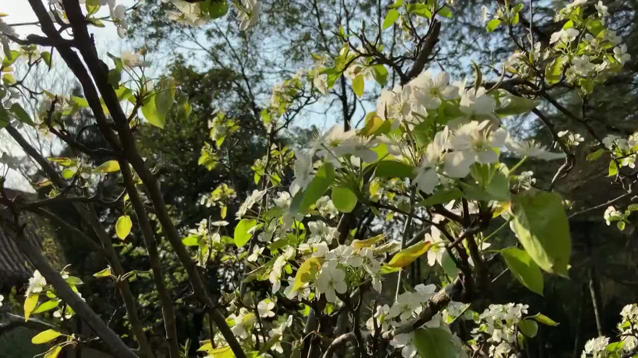 四川绵阳城市风景素材视频视频素材