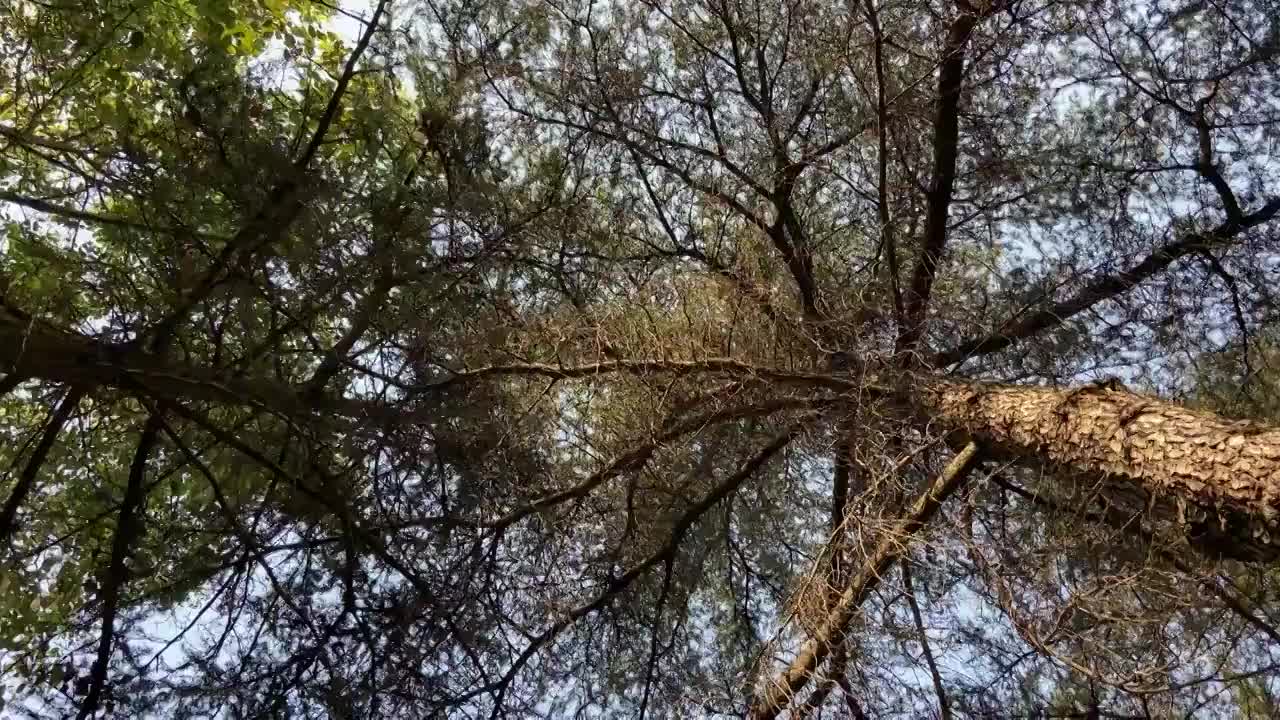 四川绵阳城市风景素材视频视频素材