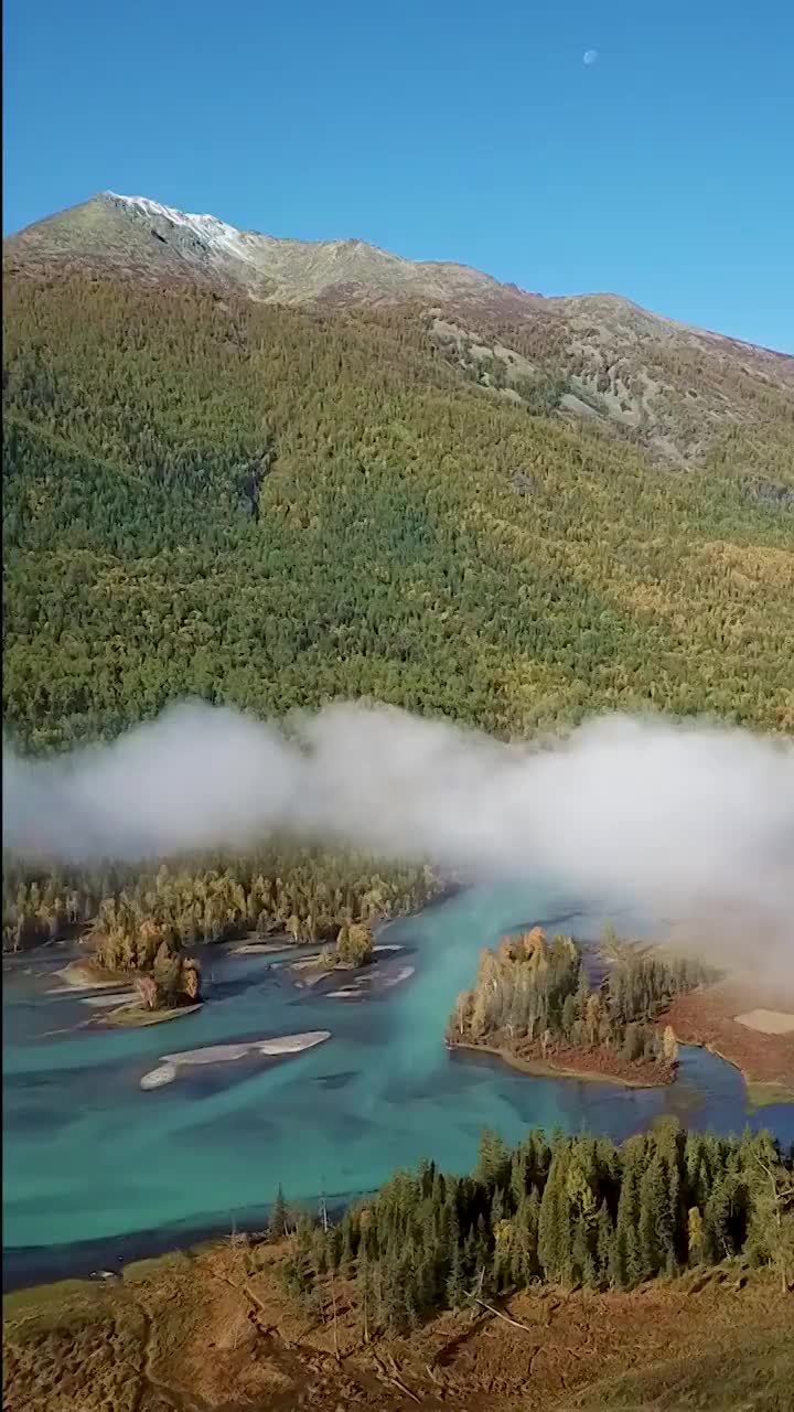 新疆阿勒泰喀纳斯三湾景区视频素材