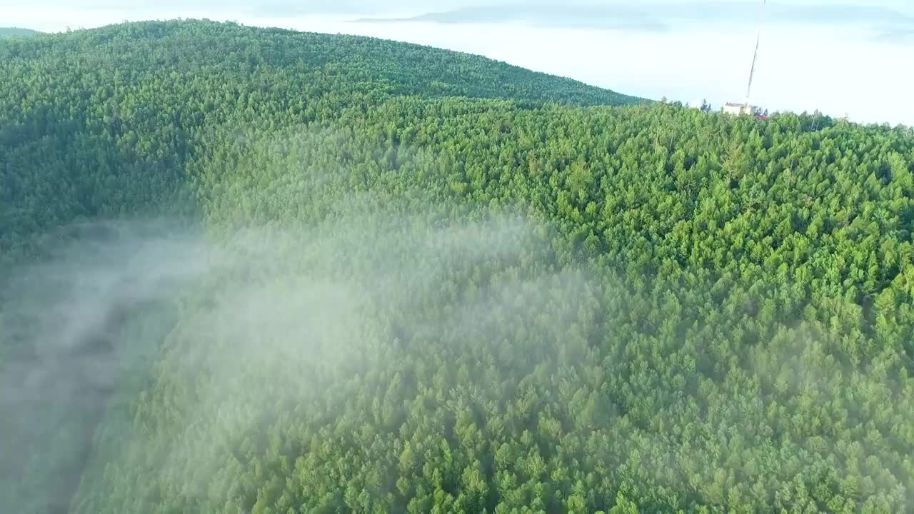 航拍大兴安岭山岭林海云雾视频素材