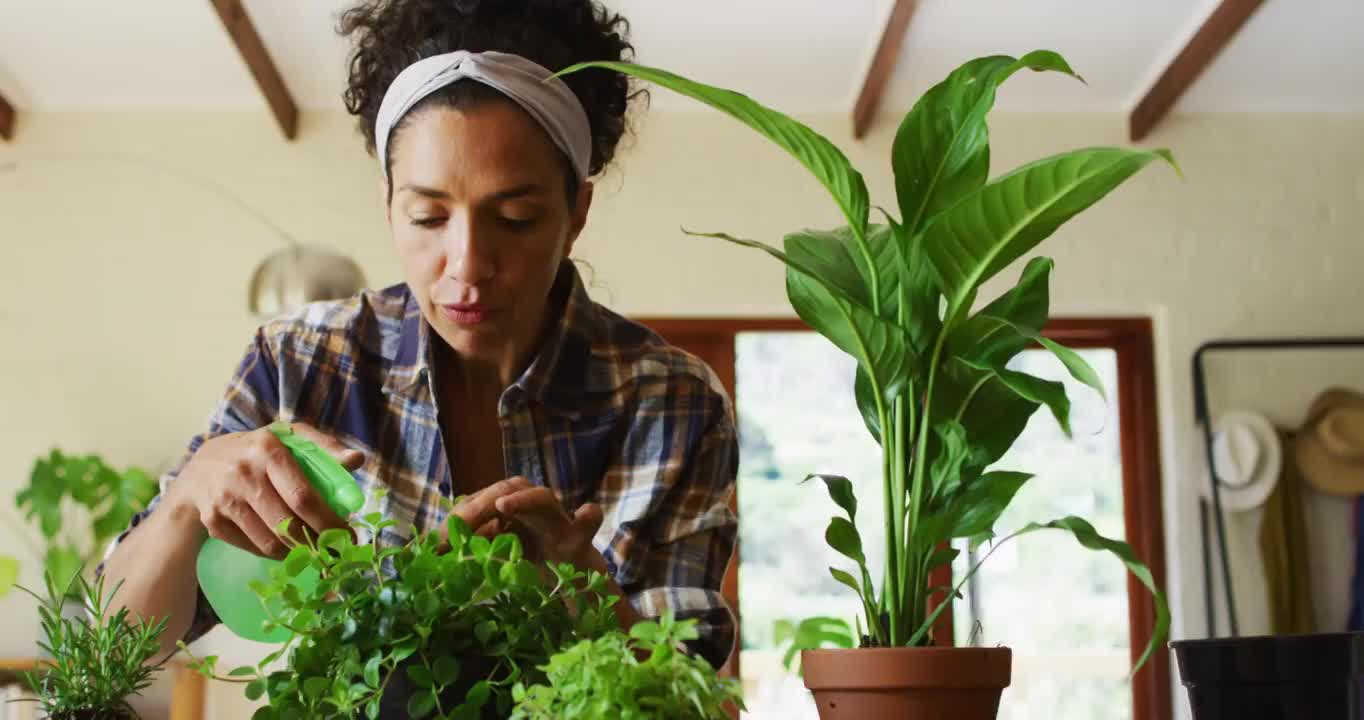 混血儿妇女在家里给植物浇水视频素材