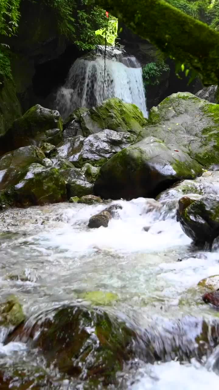 峨眉山的山泉与流瀑视频素材