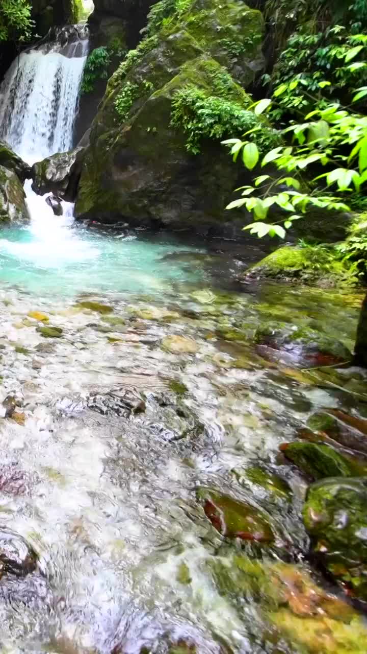 峨眉山的山泉与流瀑视频素材