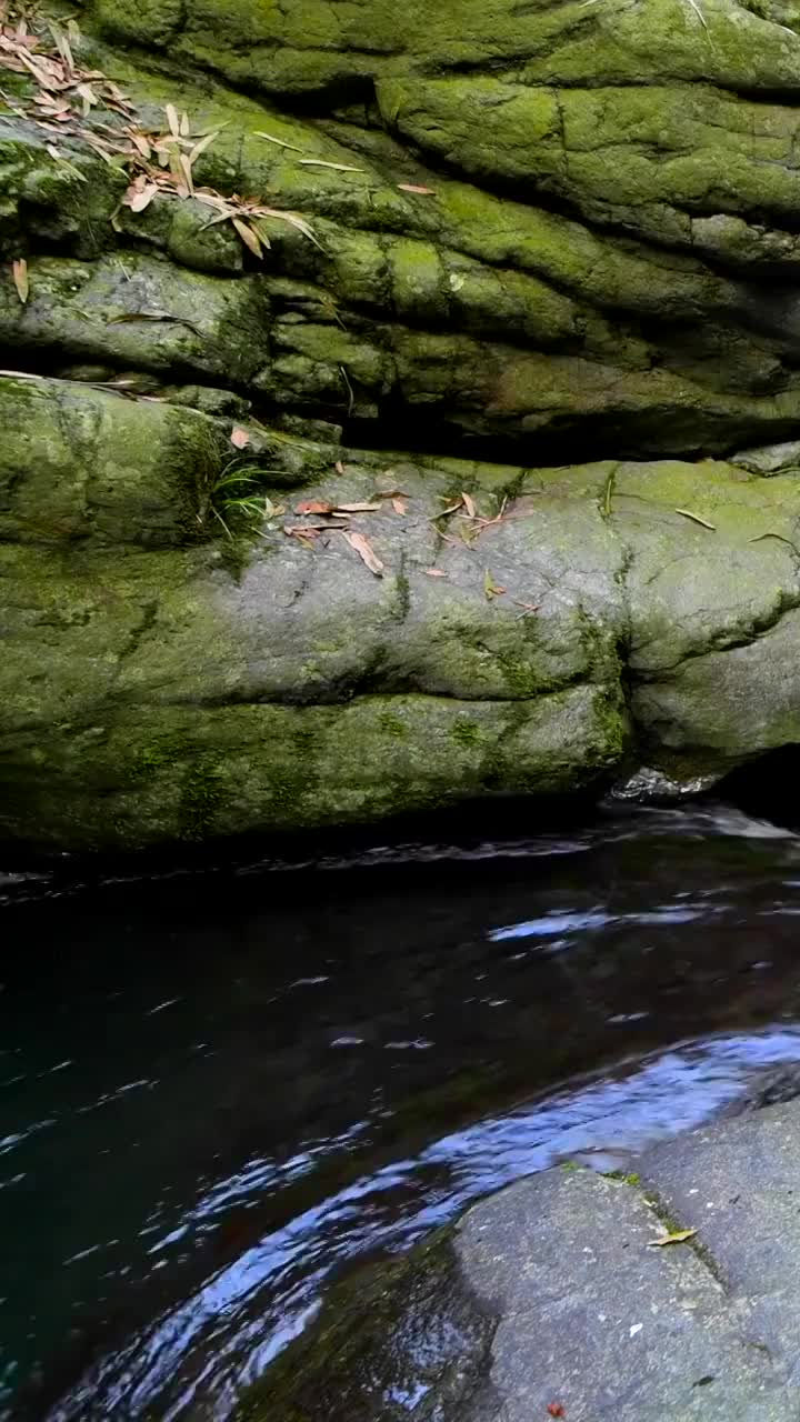 峨眉山的山泉与流瀑视频素材