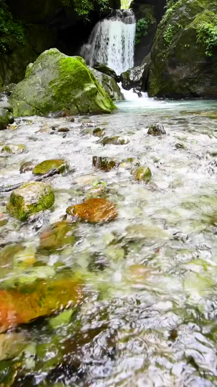 峨眉山的山泉与流瀑视频素材