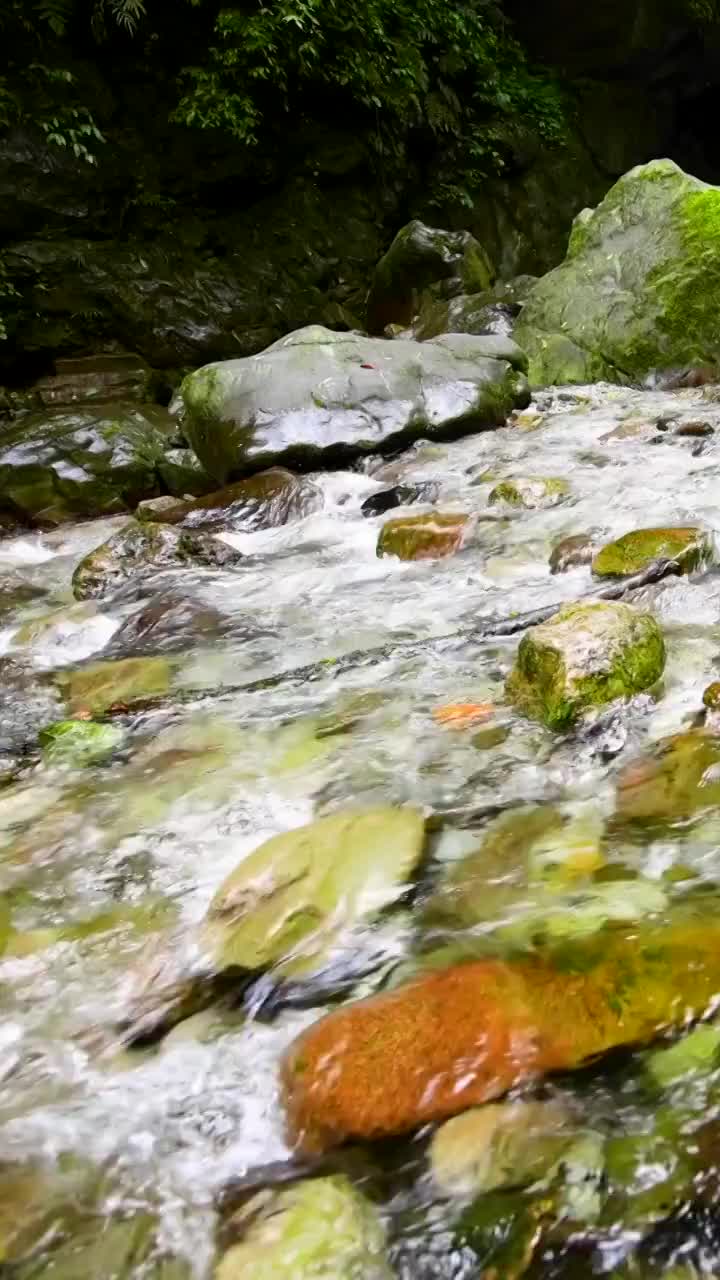 峨眉山的山泉与流瀑视频素材