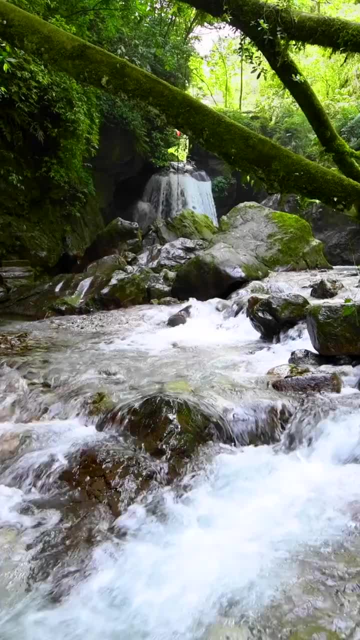 峨眉山的山泉与流瀑视频素材