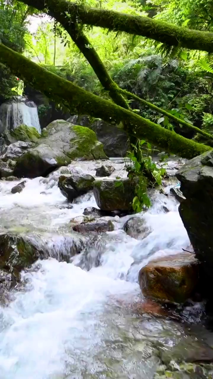 峨眉山的山泉与流瀑视频素材