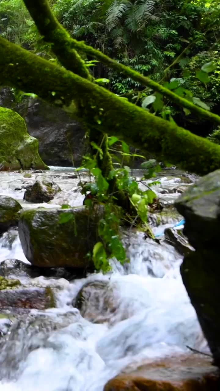 峨眉山的山泉与流瀑视频素材