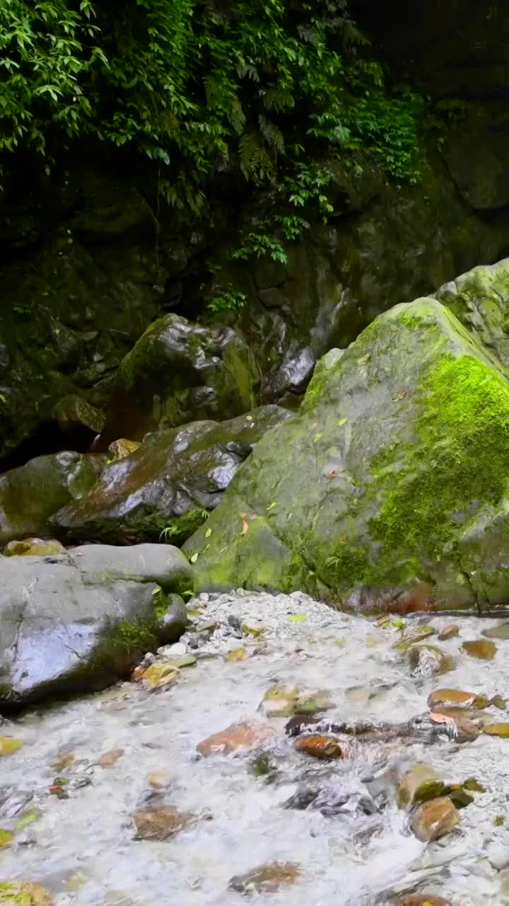 峨眉山的山泉与流瀑视频素材