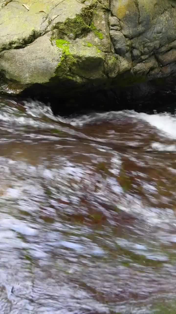 峨眉山的山泉与流瀑视频素材