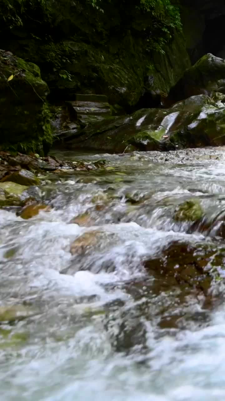 峨眉山的山泉与流瀑视频素材