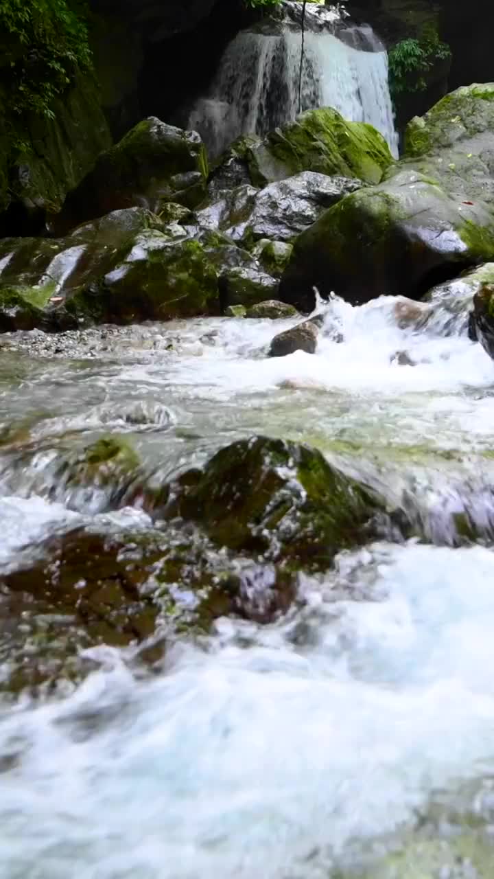 峨眉山的山泉与流瀑视频素材