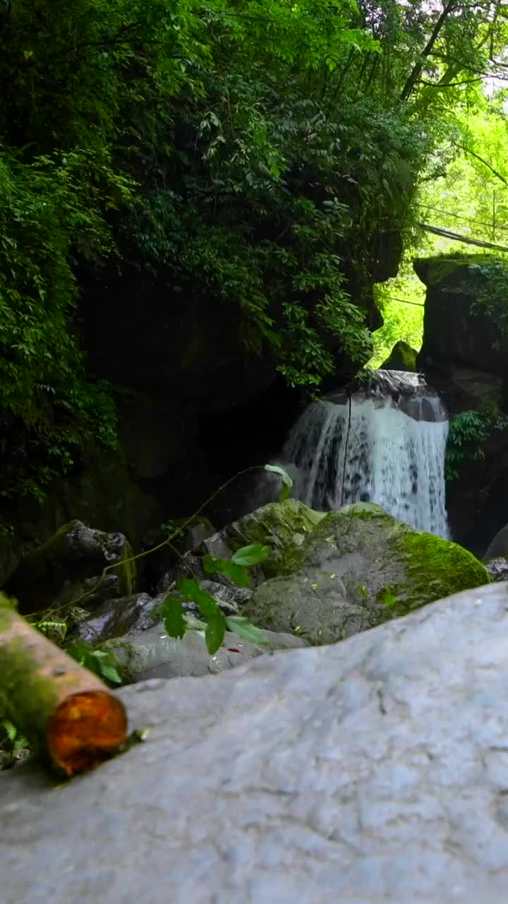 峨眉山的山泉与流瀑视频素材